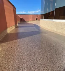 Rhino Houston Epoxy Flakes service image